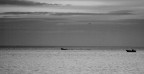 pescando pescando