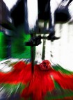 L'Italia è una repubblica fondata sul lavoro L'Italia è una repubblica fondata sul lavoro
