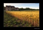 L'oro della sera L'oro della sera