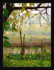 Autunno in campagna Autunno in campagna