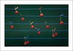 Cherry-music