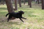 In volo :) In volo :)