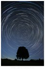 *Polaris* *Polaris*