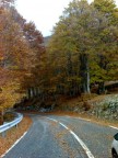 Campocatino (autunno) Campocatino (autunno)