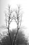percezioni verticali percezioni verticali