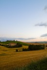 Scorcio di campagna Scorcio di campagna