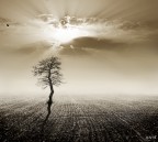 ...e la sua propriet�.