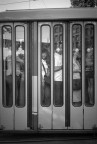 tram tram
