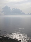 dalla torre dalla torre