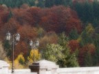 Autunno morbido Autunno morbido