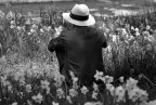 ...pensiero... ...pensiero...