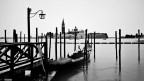 Venezia