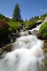 Il torrente Il torrente