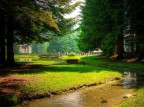 al parco al parco