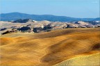 Crete Senesi