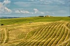 Grafie delle Crete Senesi