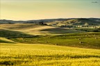 Ultime luci in Val d'Orcia