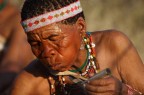 Bushman - Kalahari Bushman - Kalahari