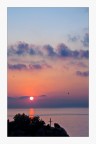 tropea tropea
