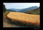 Luce sulle colline 2 Luce sulle colline 2