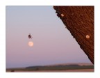 ...ON THE MOON... ...ON THE MOON...