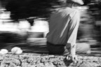 speed photo speed photo
