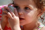 baby photographer baby photographer