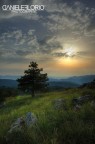 Il mondo che vorrei Il mondo che vorrei