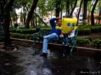 Coyoacan 7102831