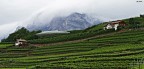 Nuvole sui vigneti Nuvole sui vigneti