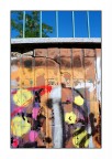 Colori ( quasi ) nascosti