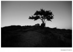 verso la luce verso la luce