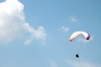 Volare...o-oh Volare...o-oh