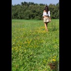 Alone, Free Alone, Free