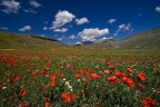 CASTELLUCCIO 1 CASTELLUCCIO 1