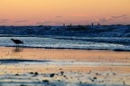 tramonto sul mare tramonto sul mare