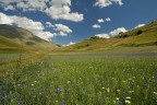 Castelluccio 3 Castelluccio 3