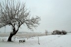inverno inverno