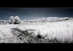 Landscape ir