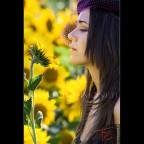 Michela - Girasoli 01 Michela - Girasoli 01