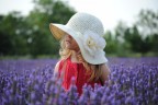 Lavanda Lavanda