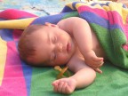sonni tranquilli sonni tranquilli