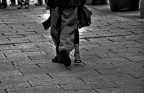 Piedi tangheri Piedi tangheri