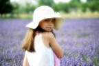 Lavanda n.2 Lavanda n.2