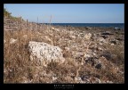 torre lapillo - puglia
