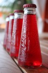 Red Passion Red Passion