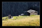 Antichi alpeggi Antichi alpeggi
