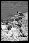 solitudine? solitudine?