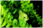 Nascondiglio Nascondiglio