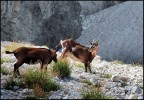 Spuntino in alta quota Spuntino in alta quota